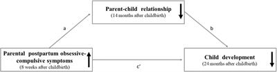 The impact of postpartum obsessive-compulsive symptoms on child development and the mediating role of the parent–child relationship: A prospective longitudinal study